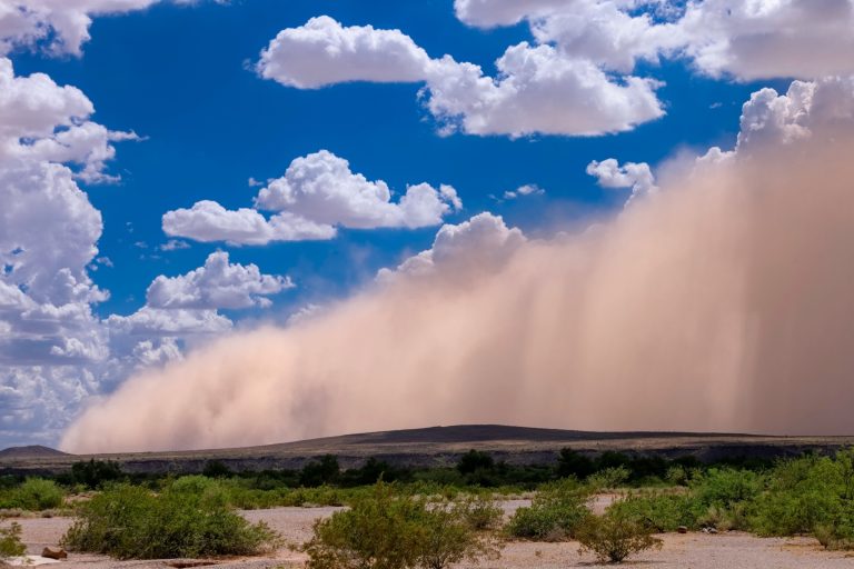 A wall of dust from a haboob crossing open desert in Arizona under blue sky and cumulus clouds
