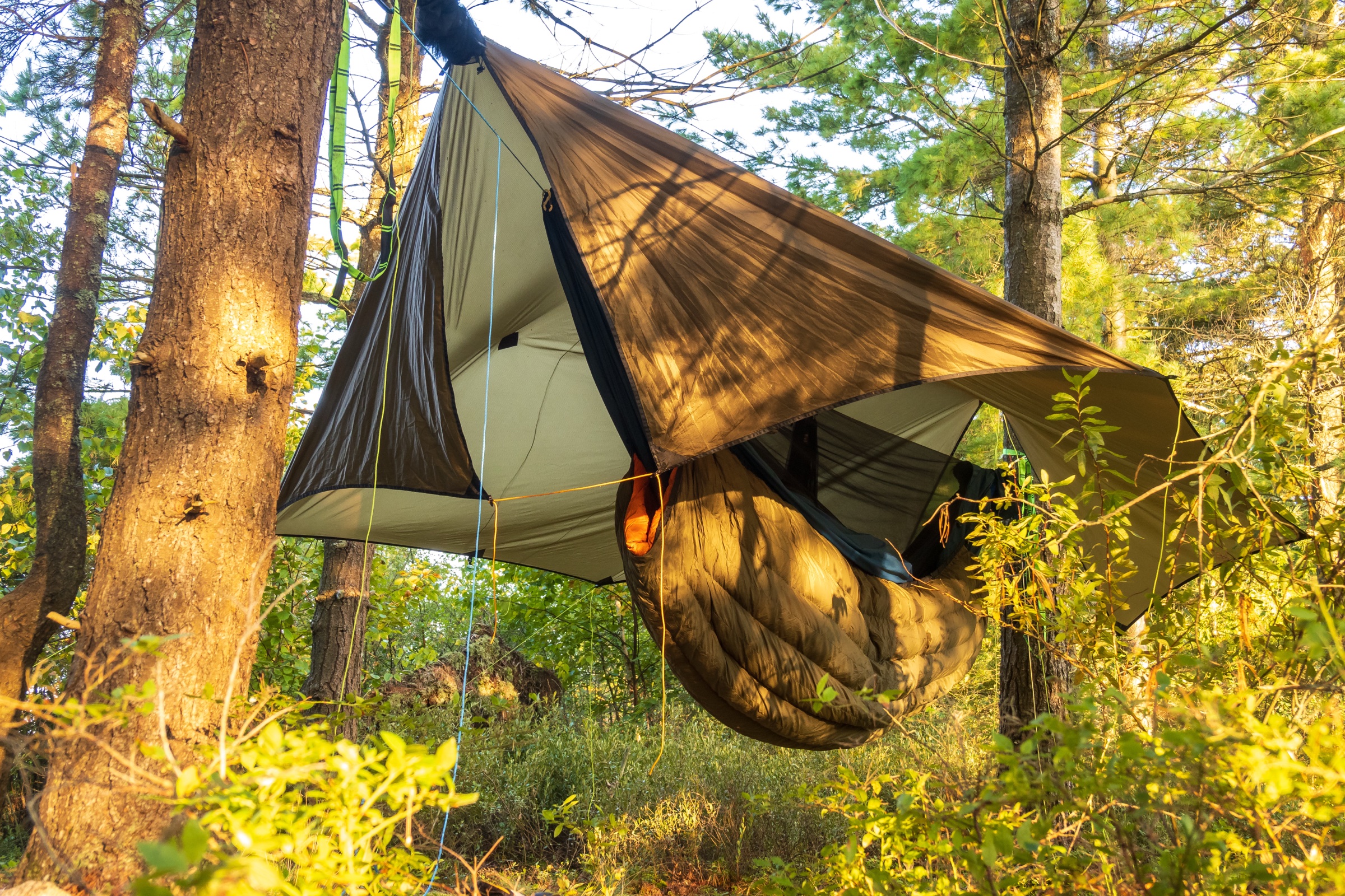 A camping hammock with an underquilt and top quilt hangs from wide webbing straps between pine trees under a shaped tarp, in Killarney Provincial Park, Ontario.
