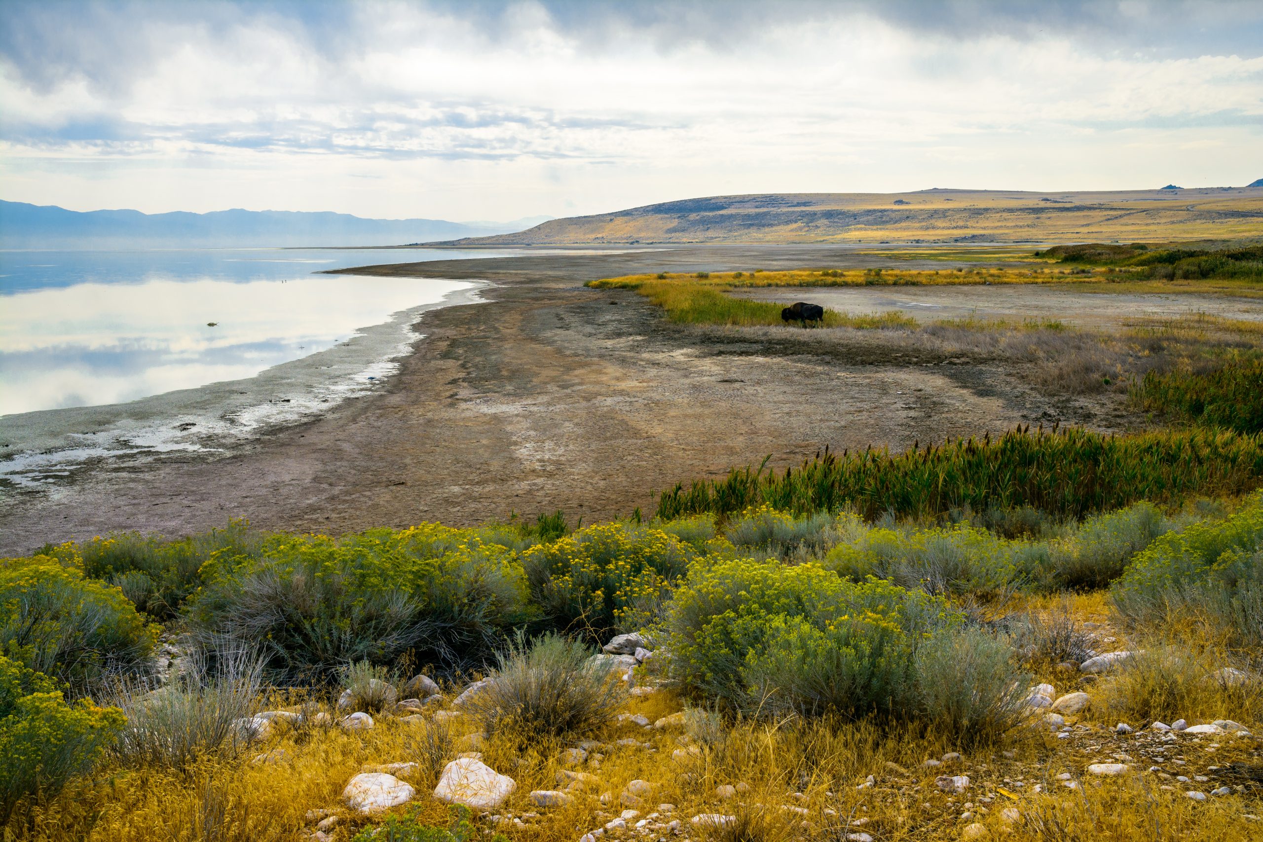 Antelope Island State Park