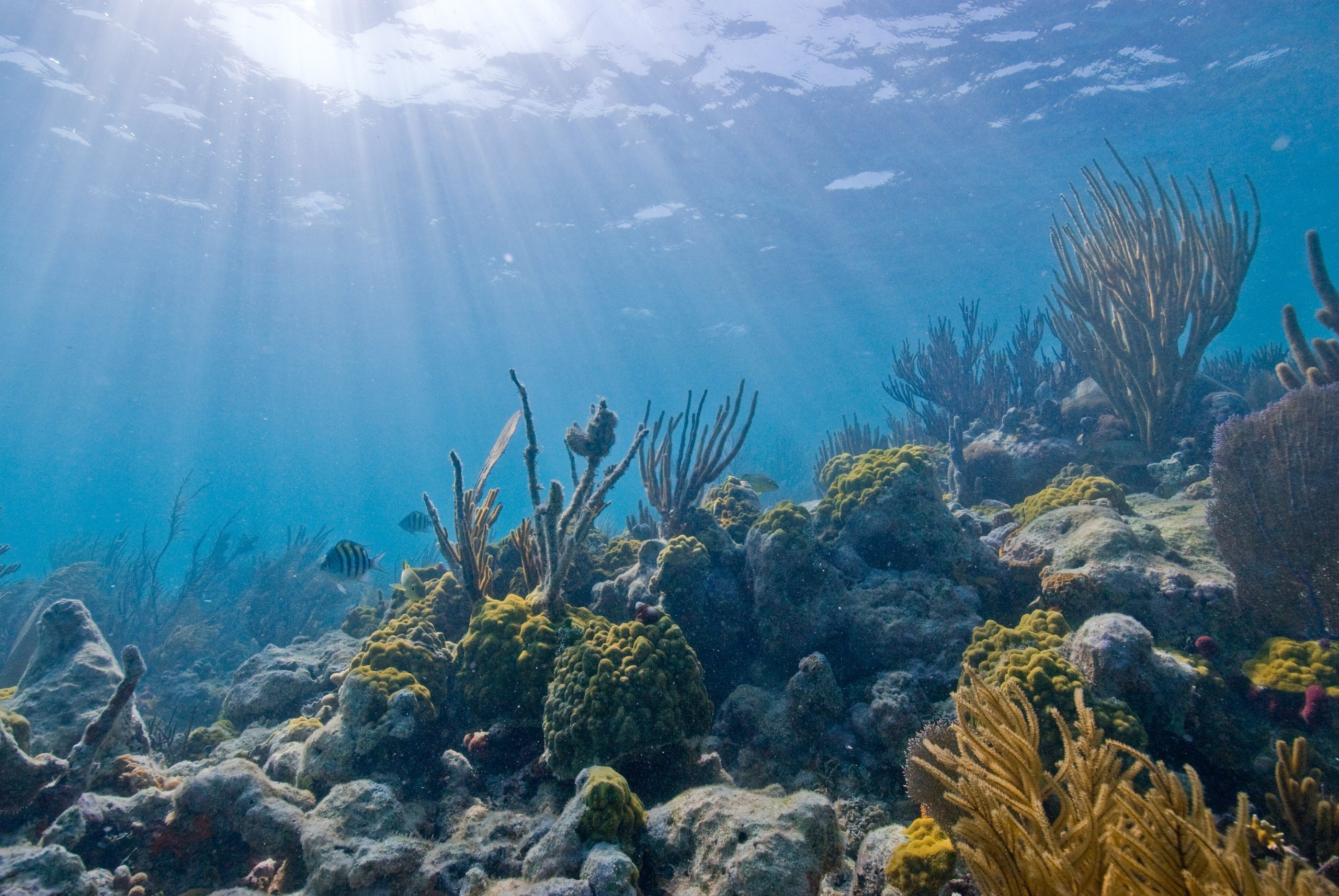 Top 9 things to do in Biscayne National Park