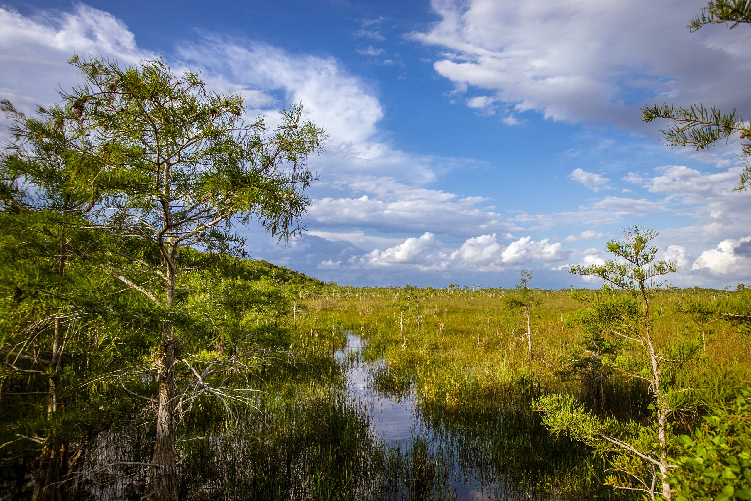 Top 9 things to do in Everglades National Park