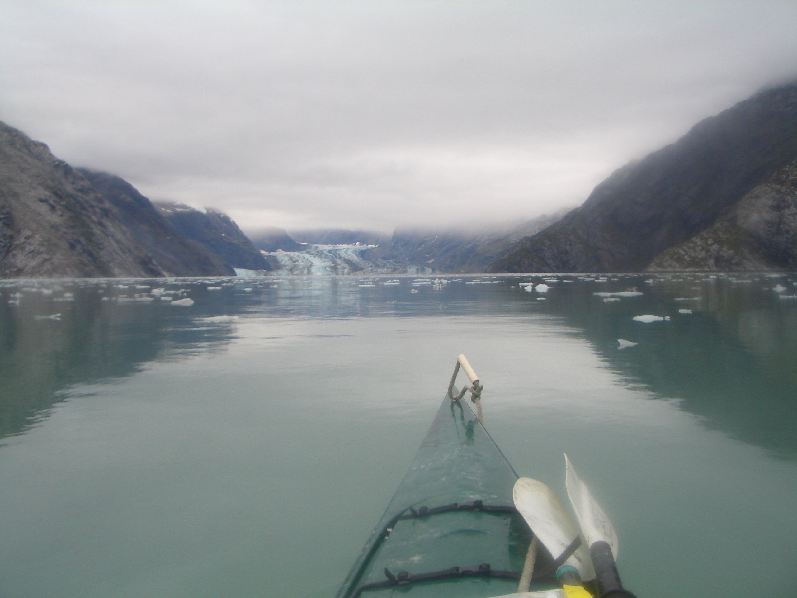 Top 8 things to do in Glacier Bay National Park