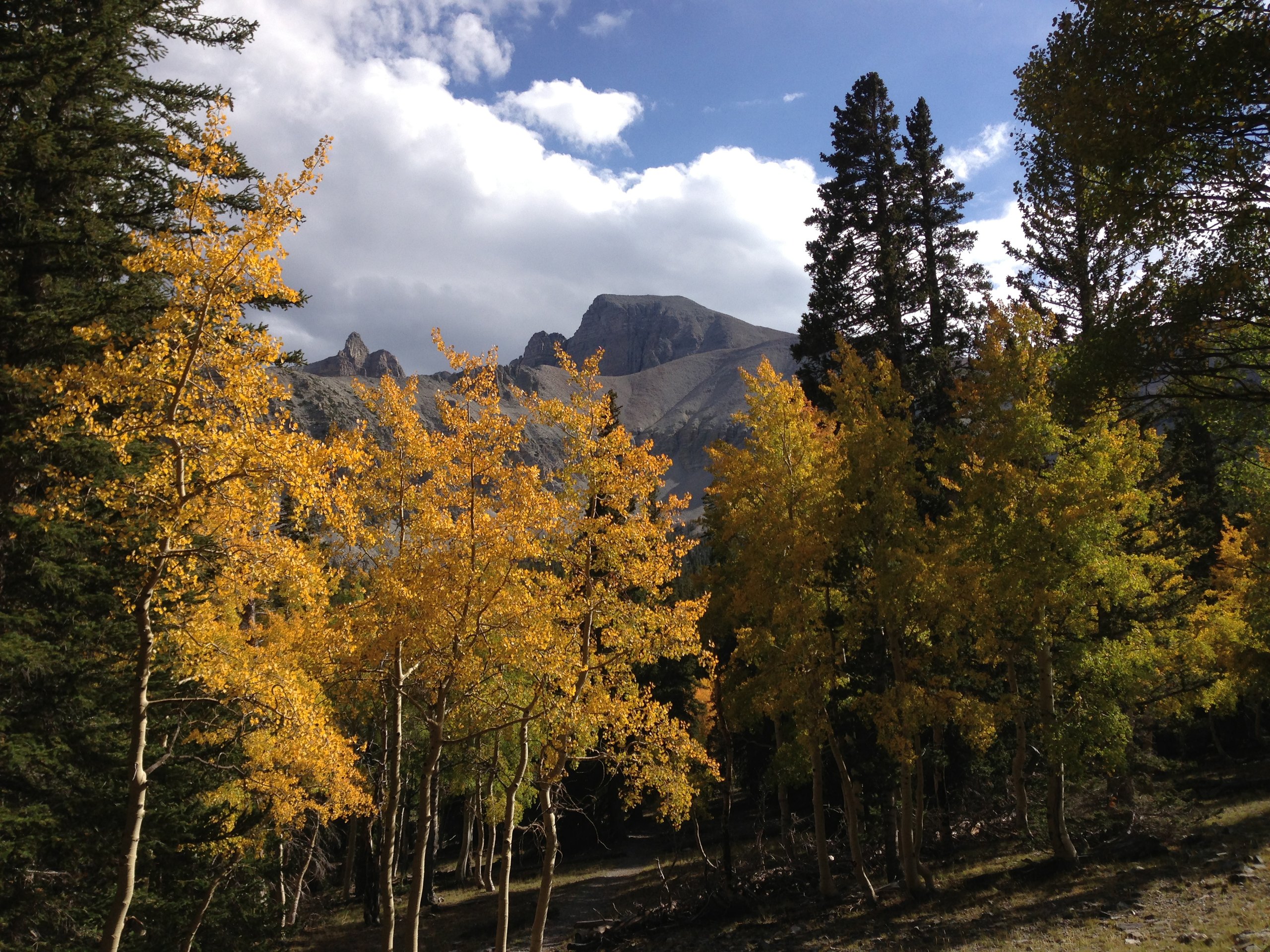 Top 8 things to do in Great Basin National Park