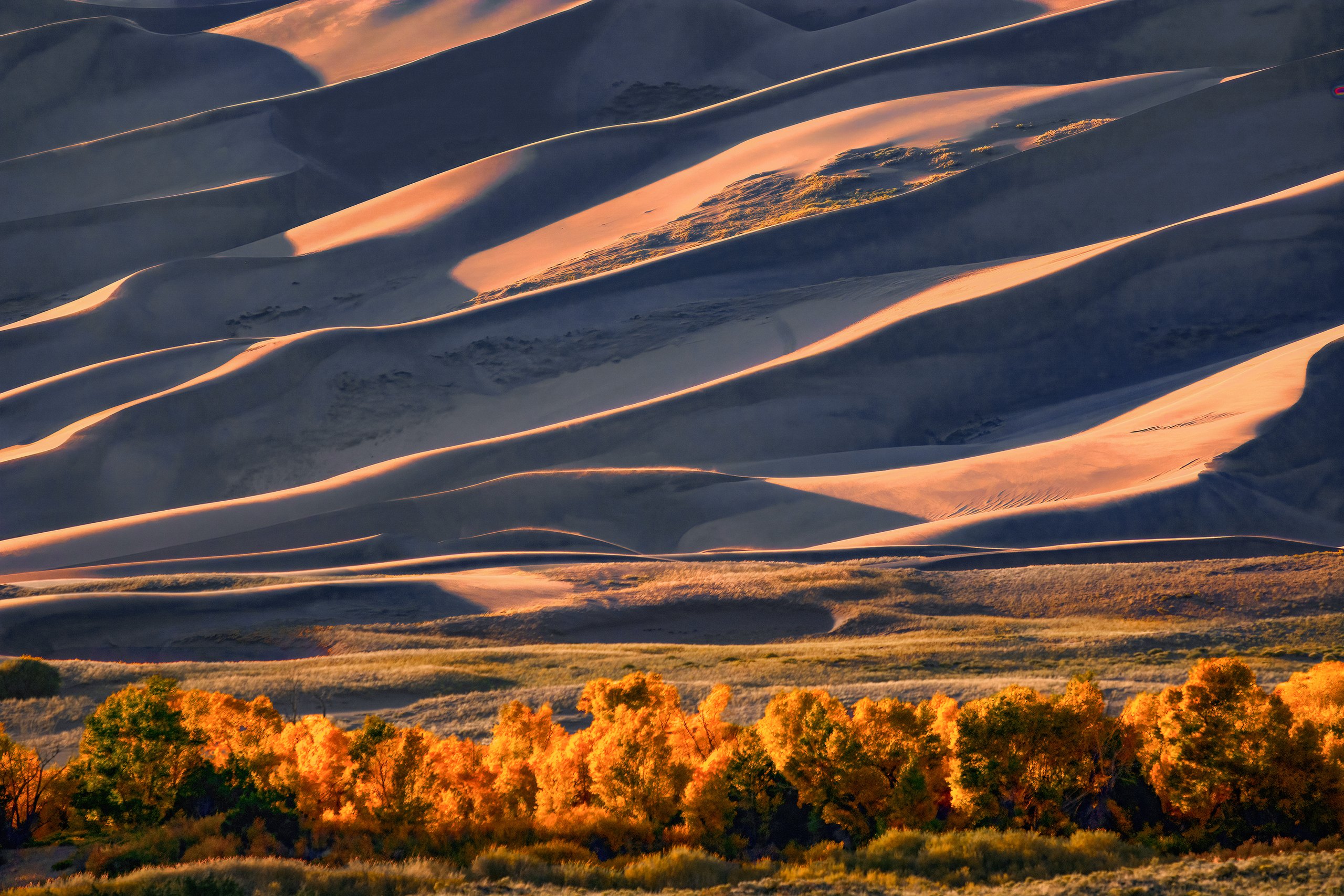Top 9 things to do in Great Sand Dunes National Park
