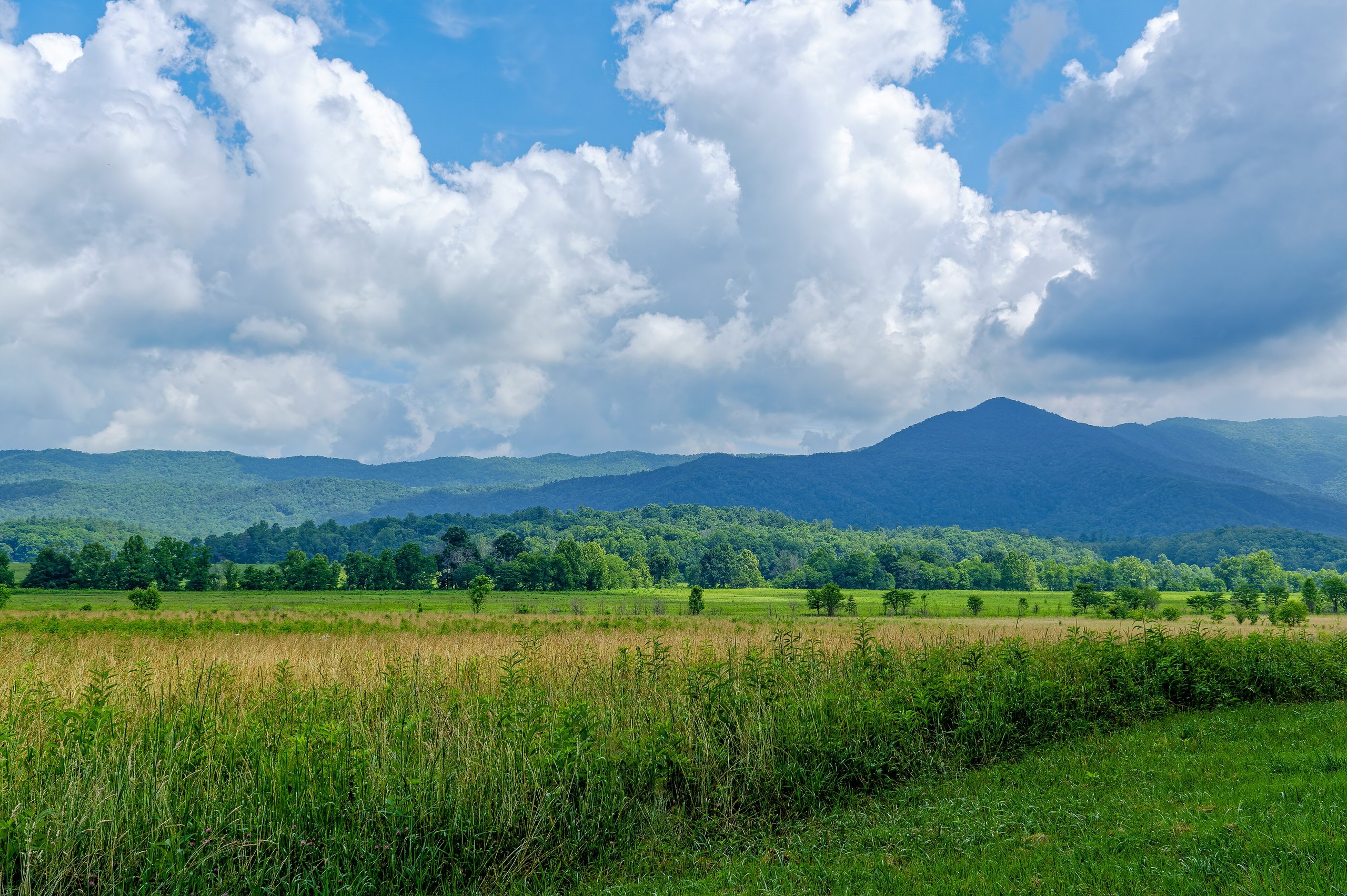 Top 12 things to do in Great Smoky Mountains National Park