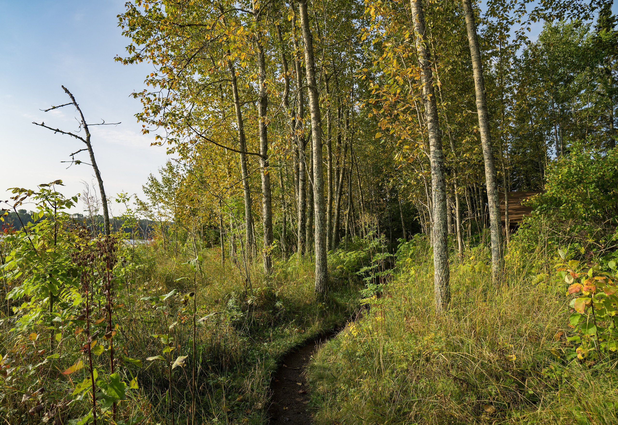 Top 9 things to do in Isle Royale National Park