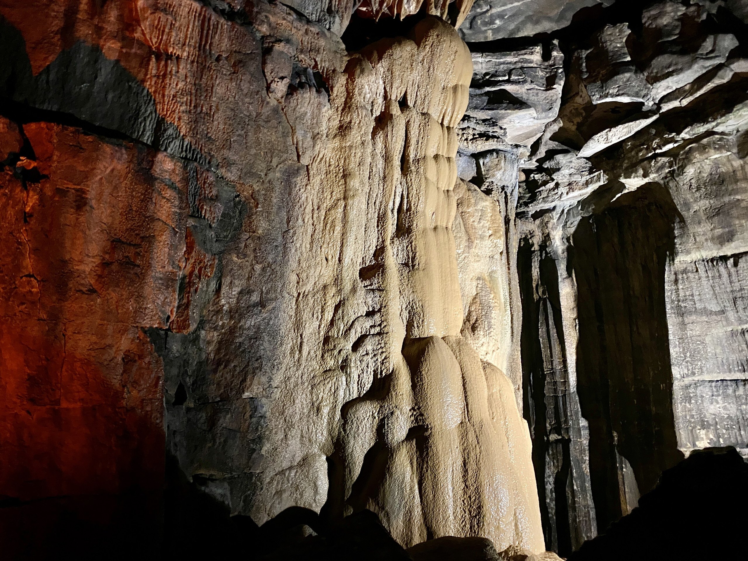 Top 9 things to do in Mammoth Cave National Park