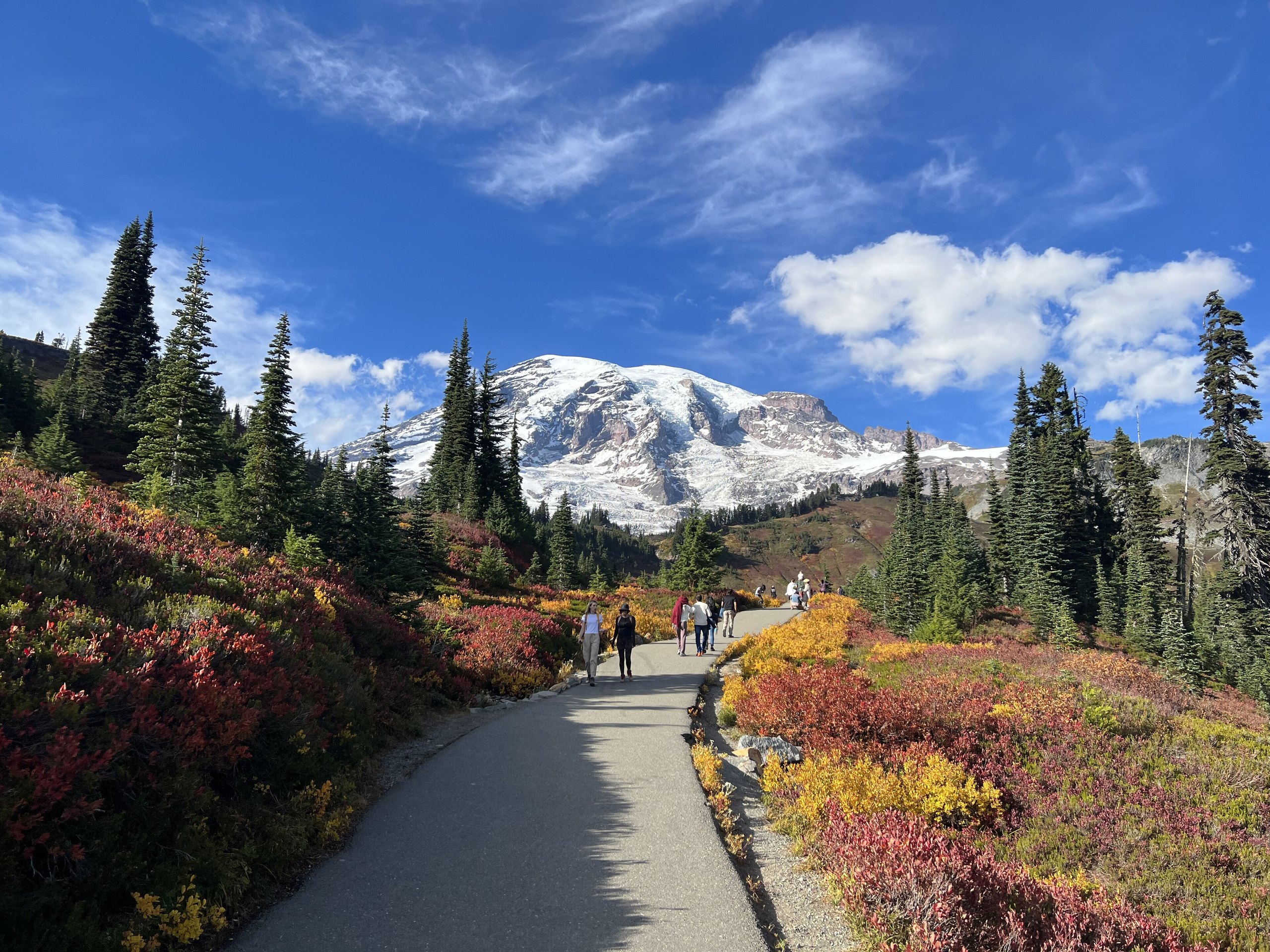 Top 10 things to do in Mount Rainier National Park