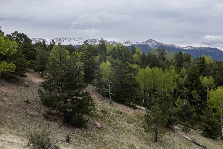 Mueller State Park