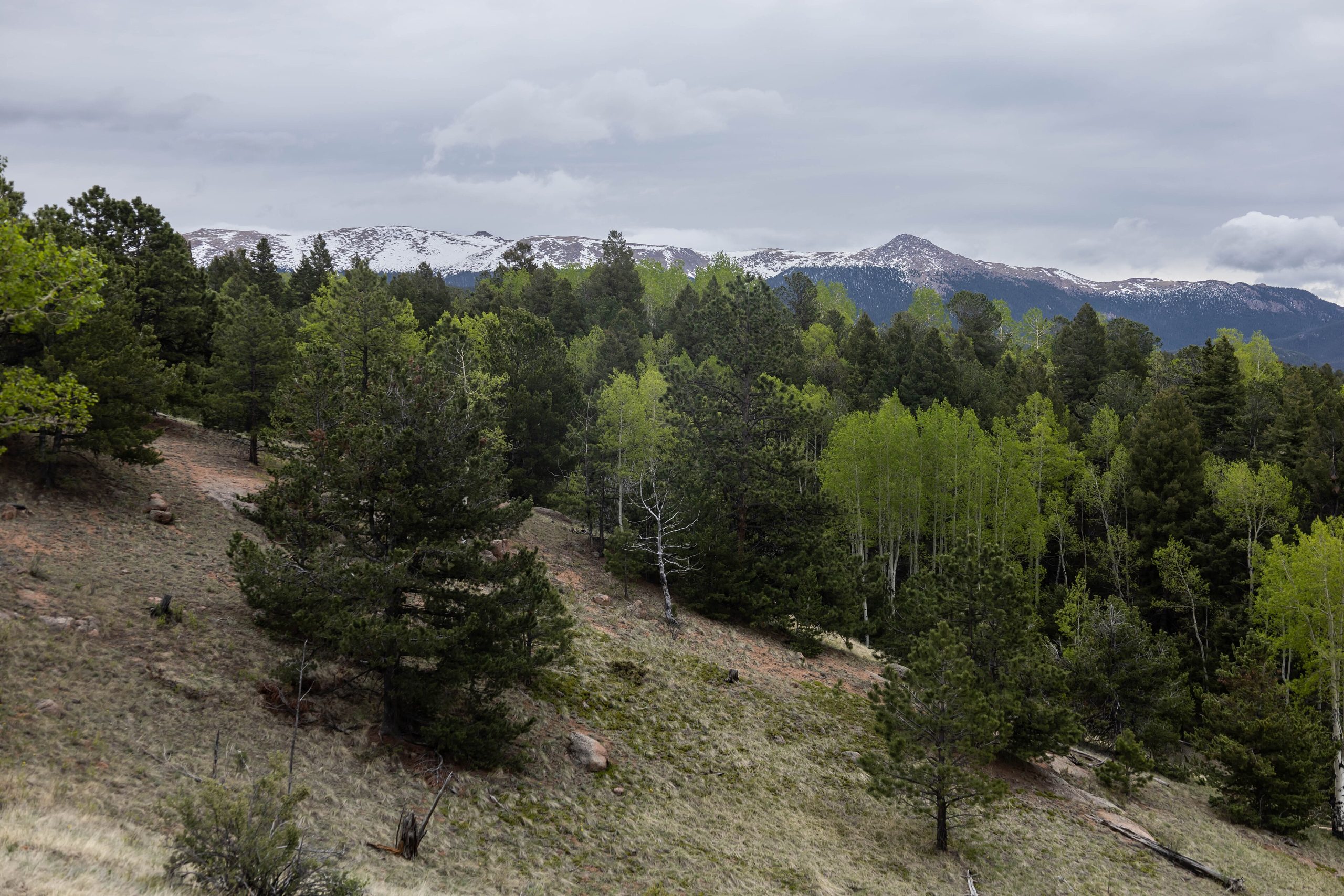Mueller State Park