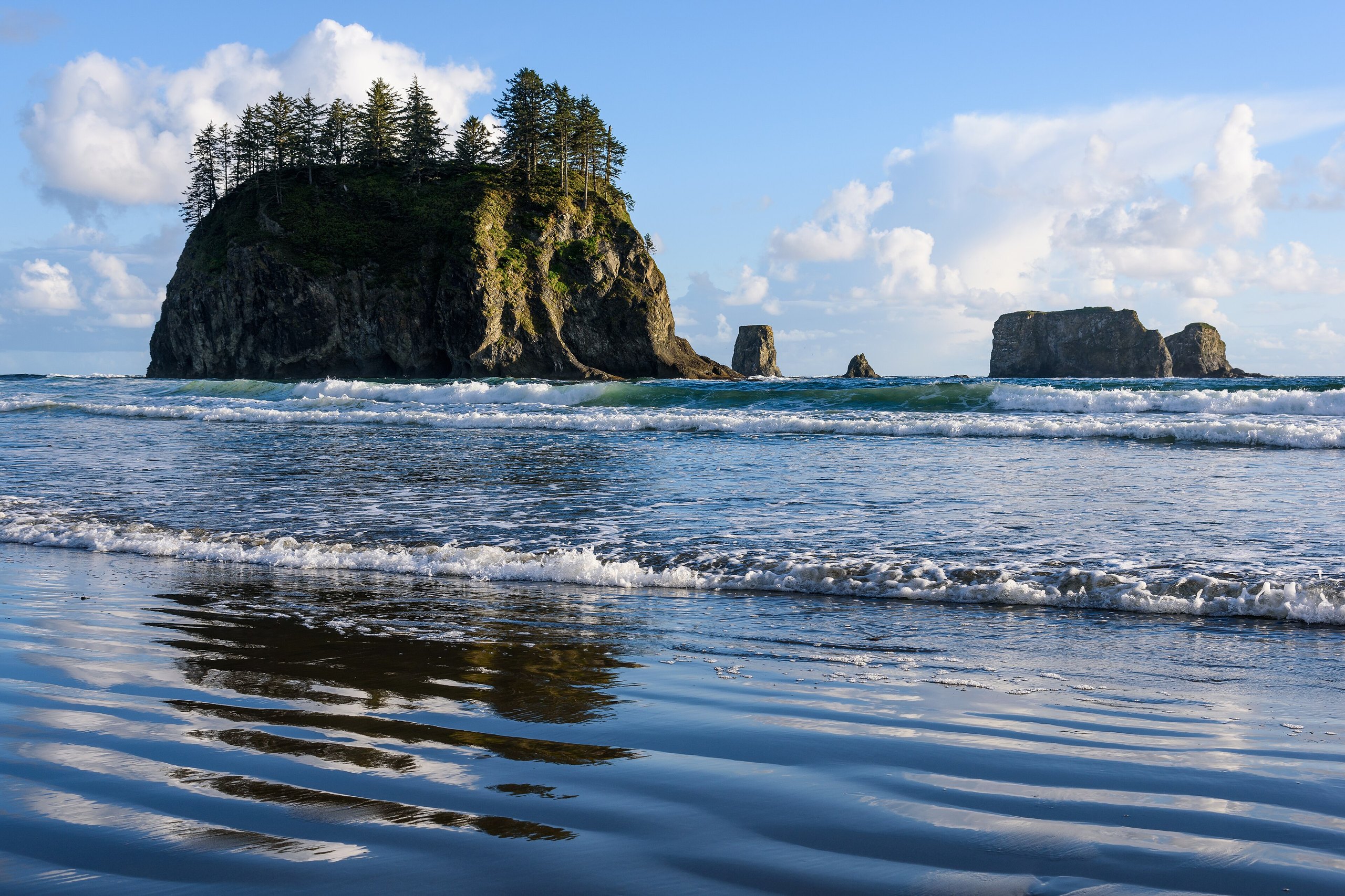 Top 10 things to do in Olympic National Park
