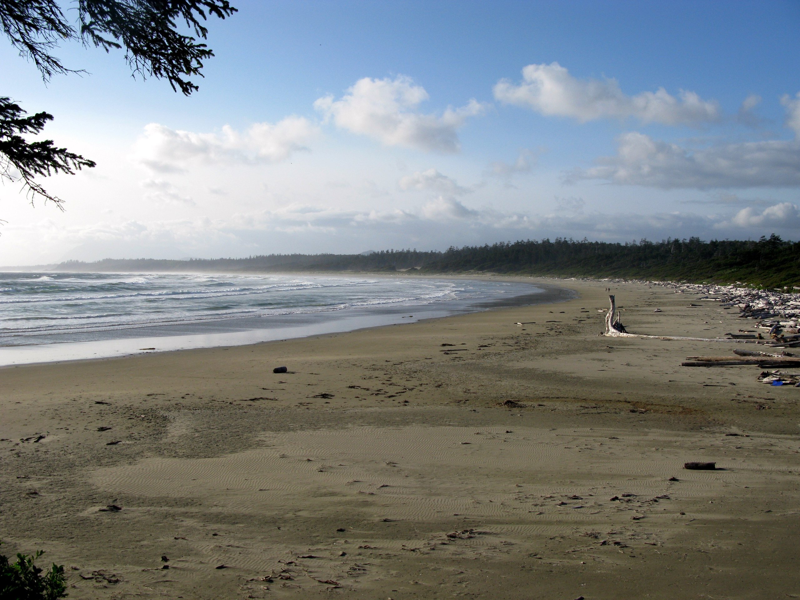 Top 10 things to do in Pacific Rim National Park Reserve