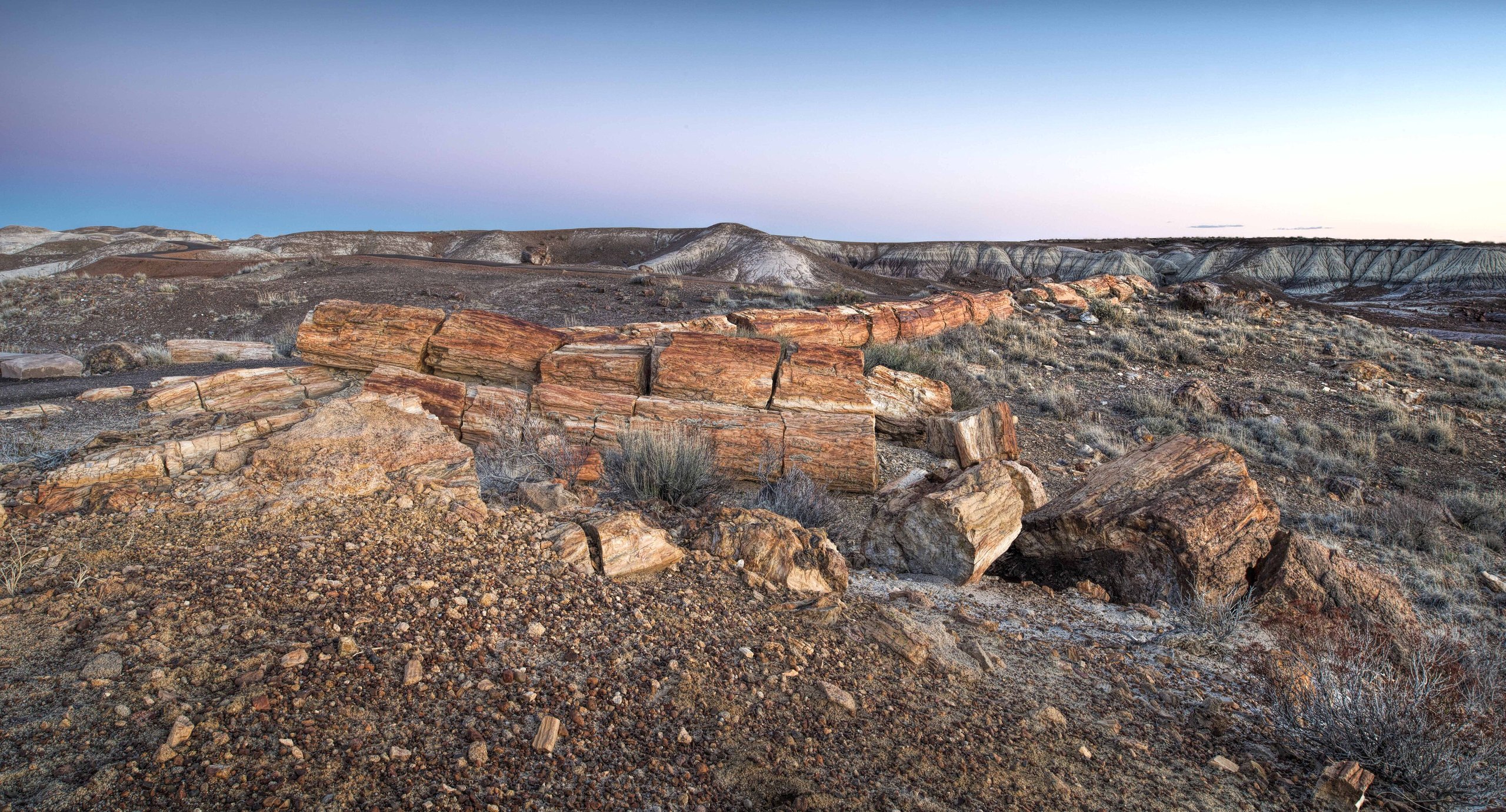 Top 10 things to do in Petrified Forest National Park