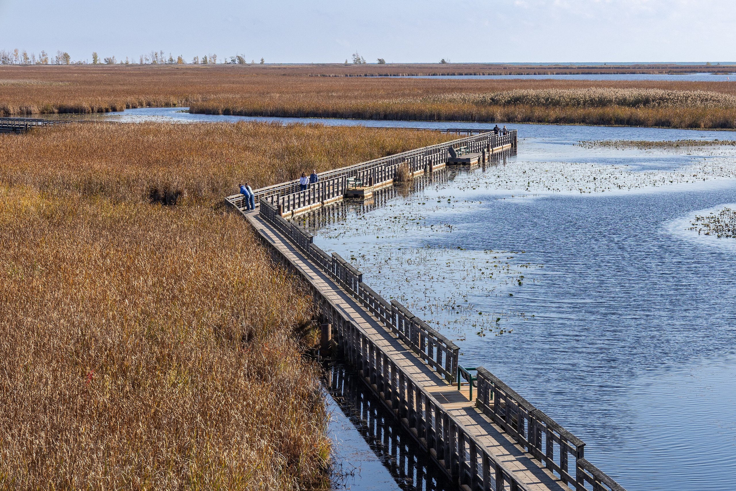Top 9 things to do in Point Pelee National Park