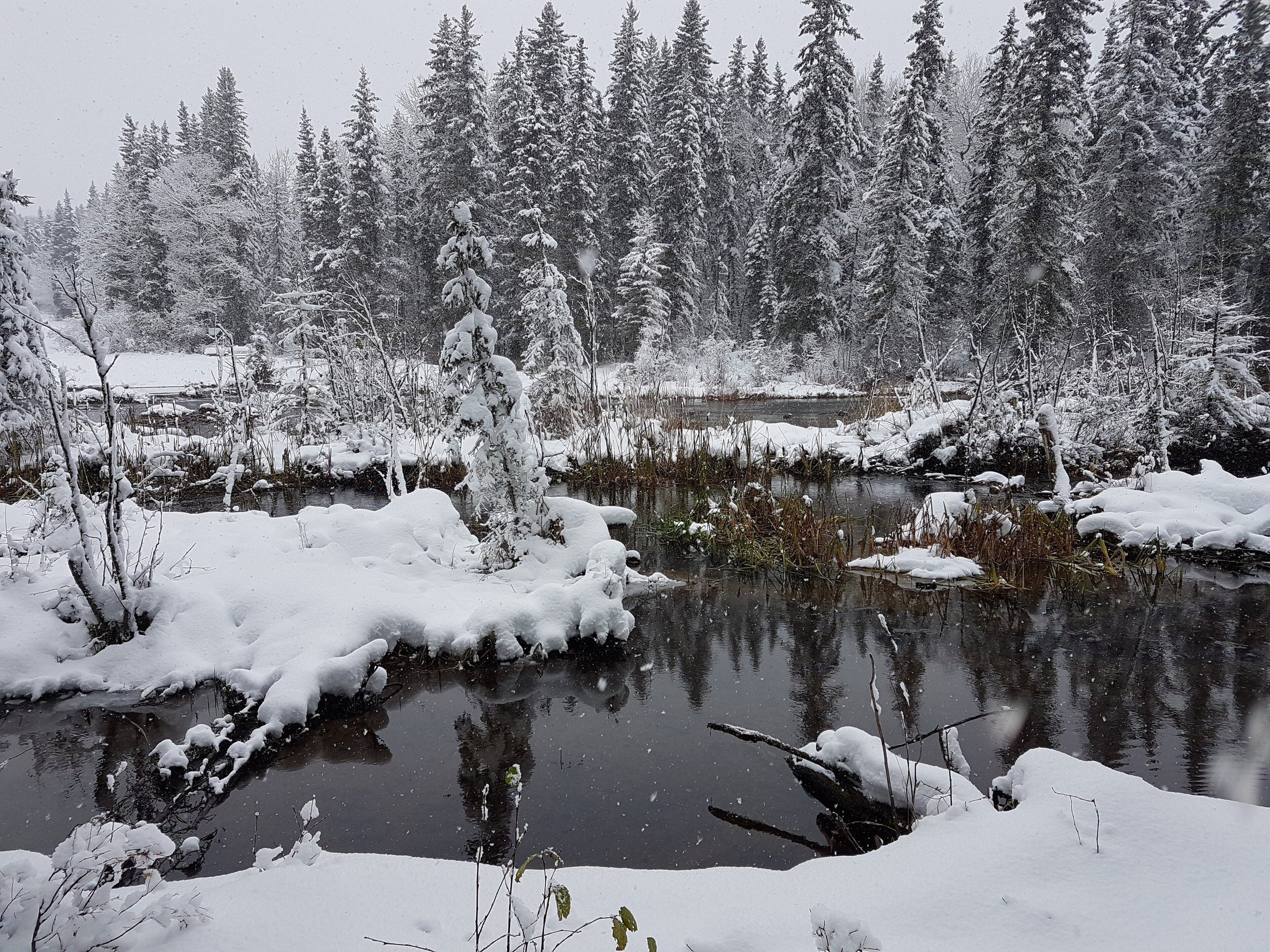 Top 8 things to do in Prince Albert National Park