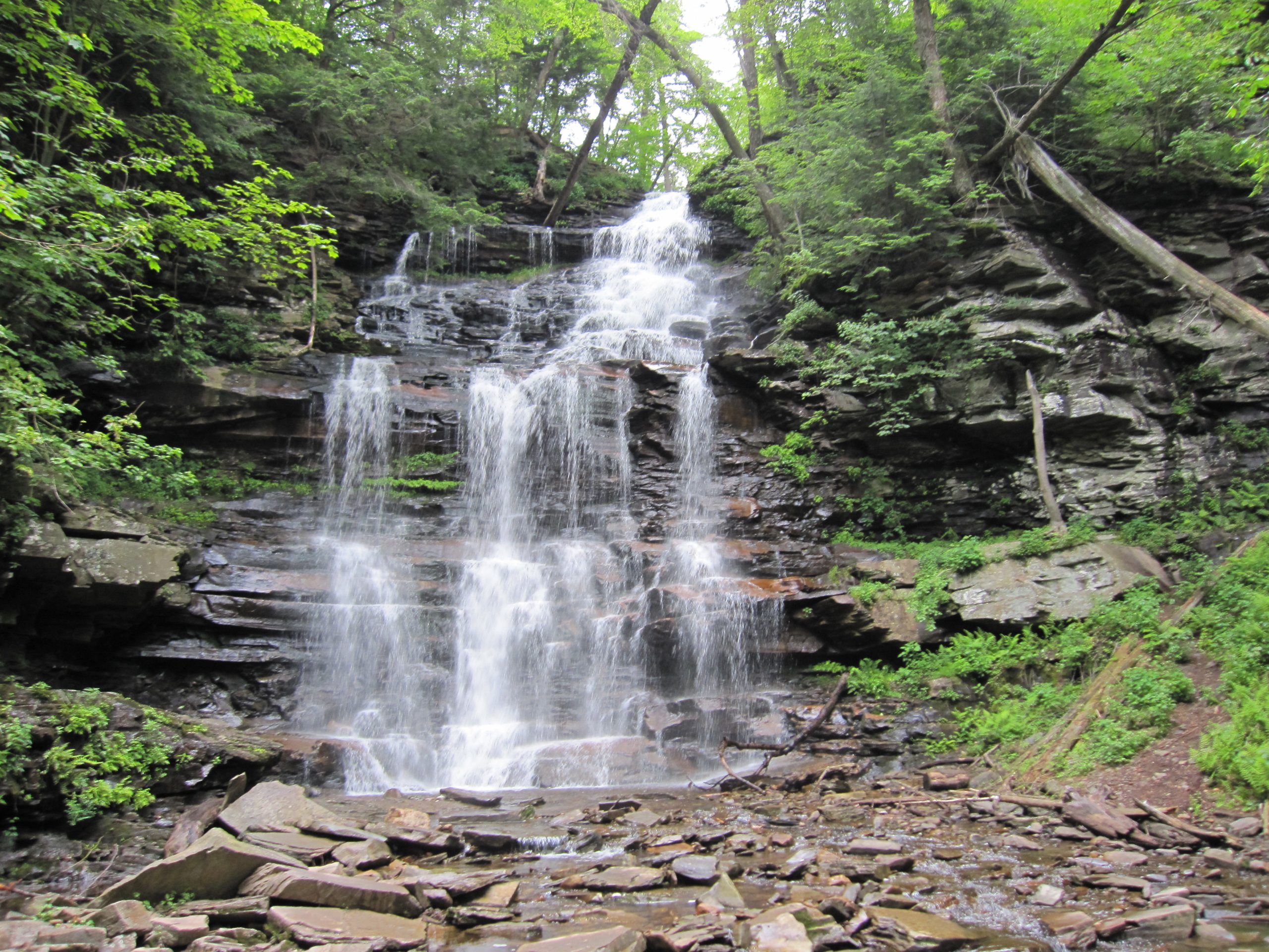 Ricketts Glen State Park