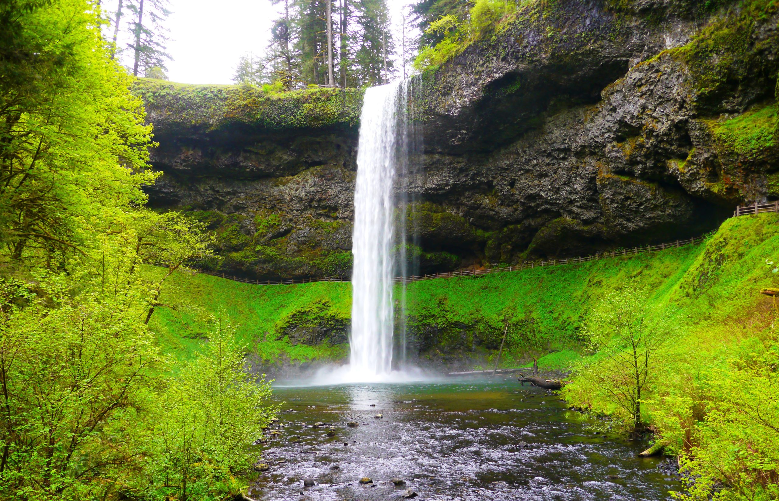 Silver Falls State Park