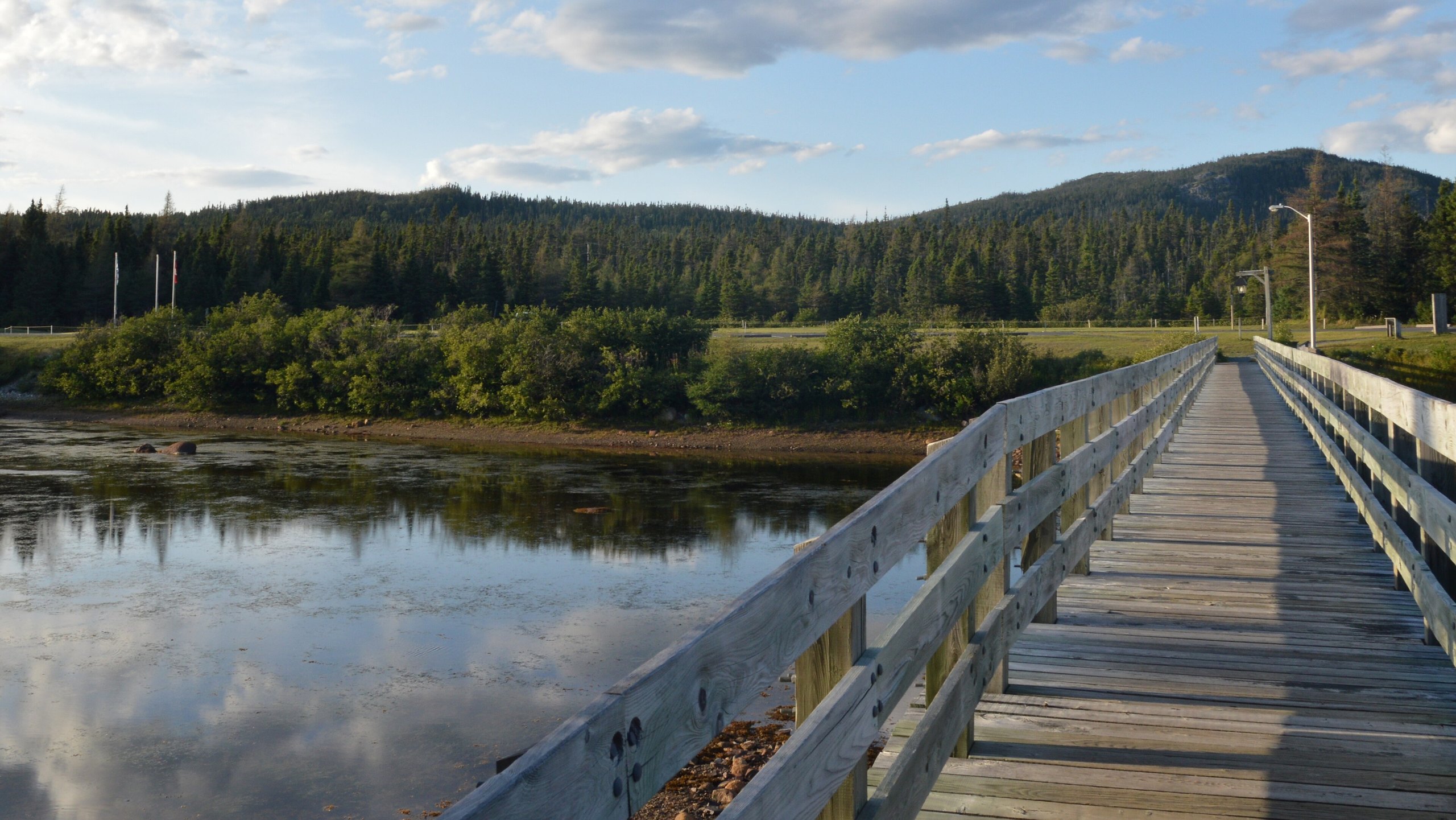 Top 8 things to do in Terra Nova National Park