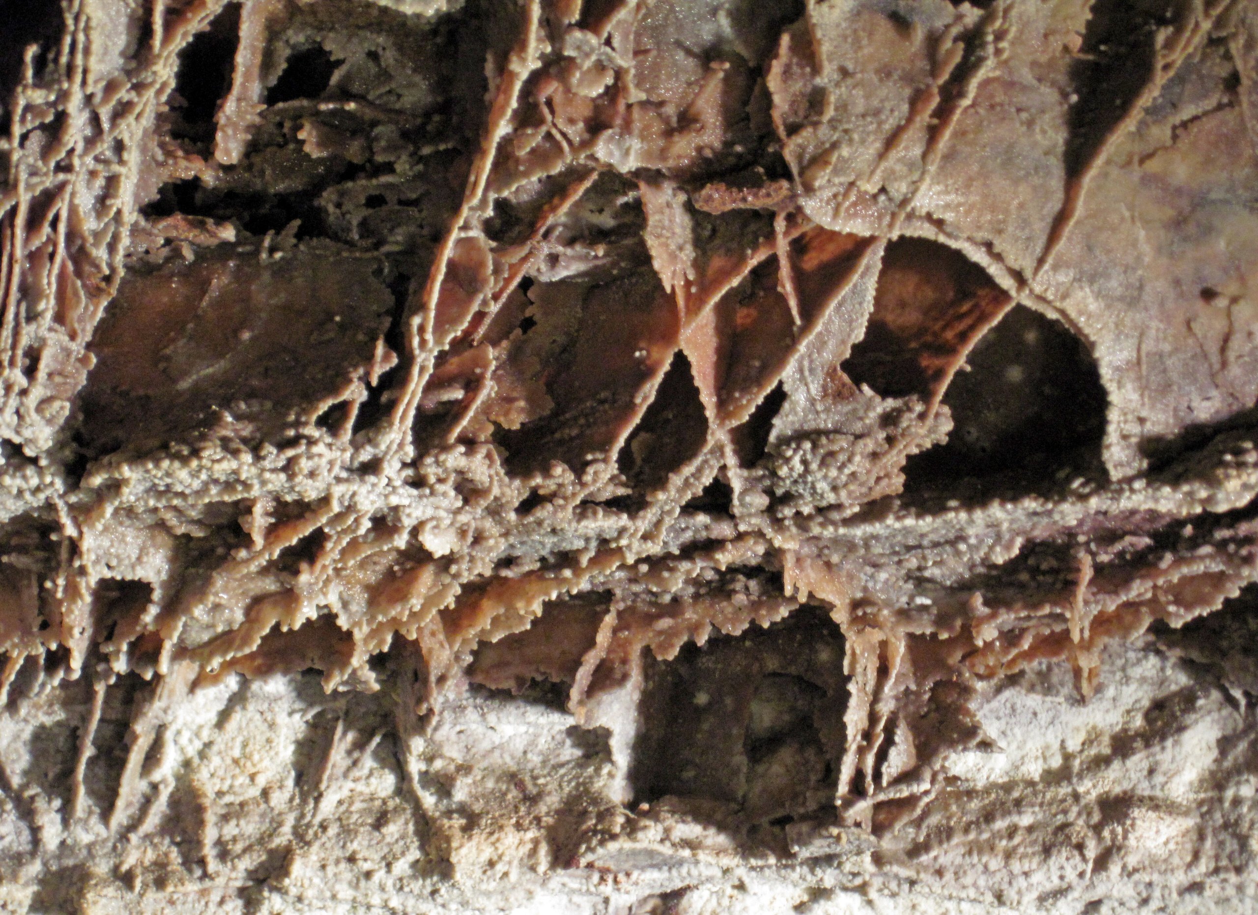 Top 7 things to do in Wind Cave National Park